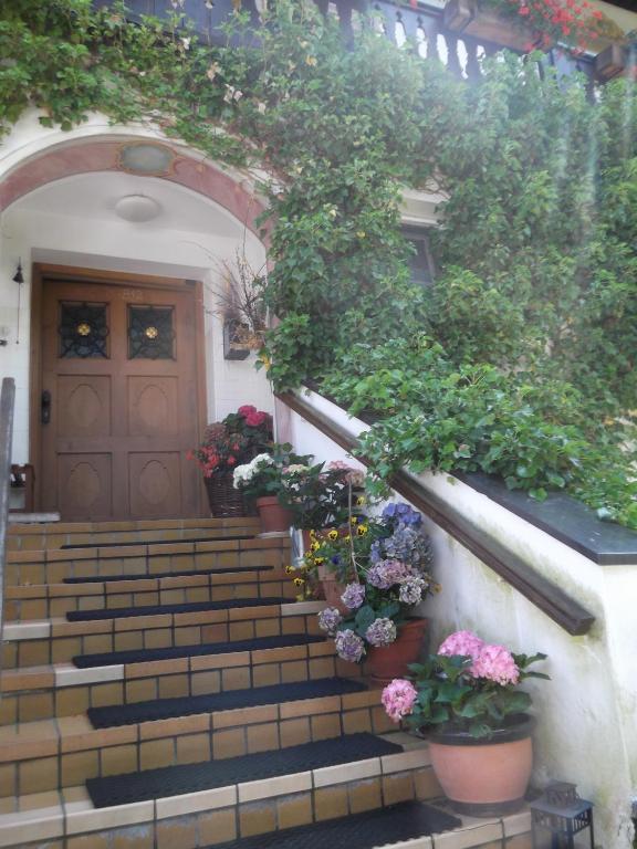 Hohe Tannen Gasthof 3*